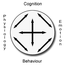 CBT Doughnut